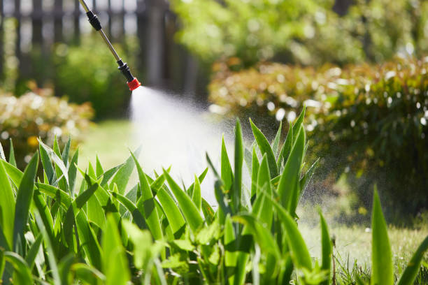 24/7 Emergency Mosquito Control experts in Saylorville, IA