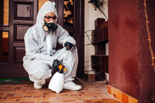 Reliable Mosquito Control contractor in Saylorville, IA by Show Me Pest Control